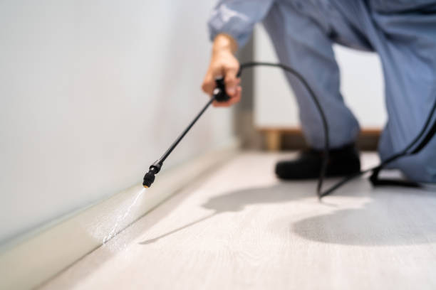 Licensed Pest Control service in Zwolle, LA - Show Me Pest Control