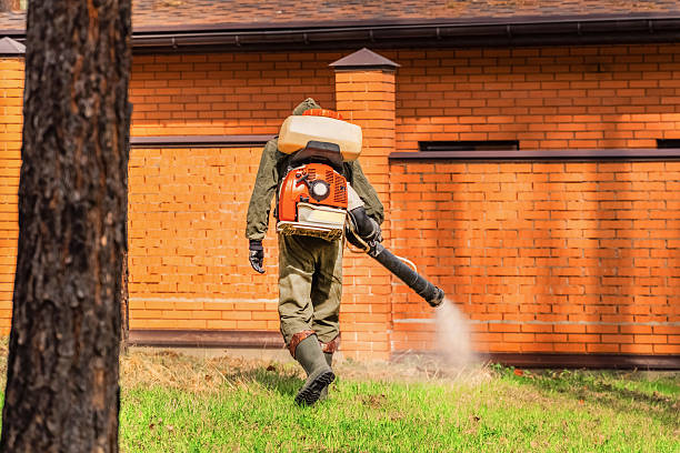 Bed Bug Clearance Verification and Documentation in Zwolle